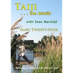 Taiji Details: The Yang Twenty-four