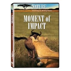 Nature: Moment of Impact