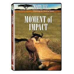 Nature: Moment of Impact