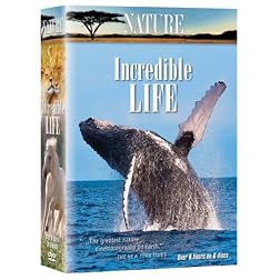 Nature: Incredible Life (6pc)