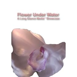 Flower Under Water