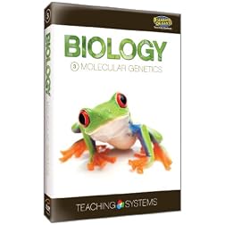 Teaching Systems Biology Module 3: Molecular Genetics