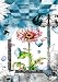 SIDNAD Vol.5~CLIPS TWO~ [DVD]