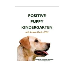 Positive Puppy Kindergarten