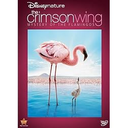 Disneynature: Crimson Wing - Mystery of Flamingo