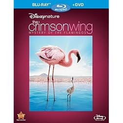 Disneynature: Crimson Wing - The Mystery of the Flamingo  (Two-Disc Blu-ray/DVD Combo)