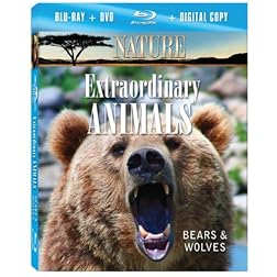 NATURE: Extraordinary Animals: Bears & Wolves (Blu-ray Combo Pack)