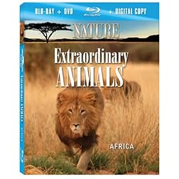 NATURE: Extraordinary Animals: Africa (Blu-ray Combo Pack)