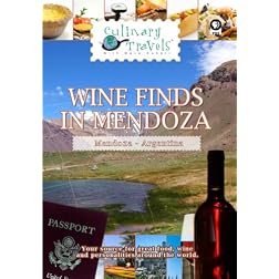 Culinary Travels Wine Finds in Mendoza