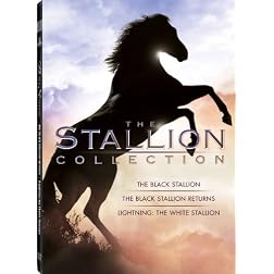 Stallion Collection
