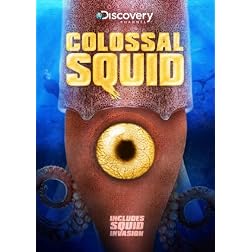 Colossal Squid