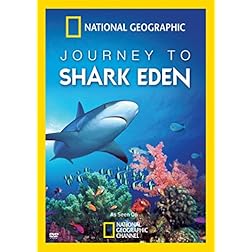 Journey to Shark Eden
