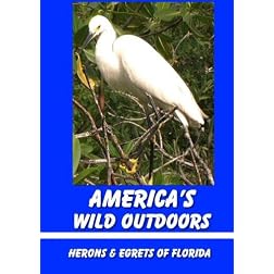 Herons & Egrets of Florida