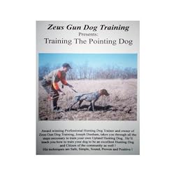 ZEUS GUN DOG TRAINING  ---  Training The Pointing Dog