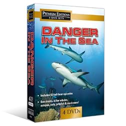 Danger in the Sea