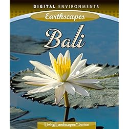 Bali: Mystical Paradise (Ws)