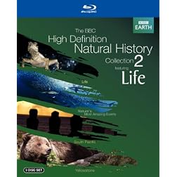 The BBC High-Definition Natural History Collection 2 (Life / Nature's Most Amazing Events / South Pacific / Yellowstone) [Blu-ray]
