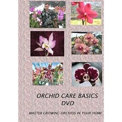 Orchid Care Basics