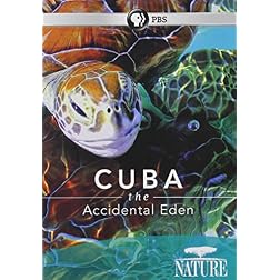 Cuba: The Accidental Eden