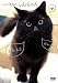 しゃべるねこ、しおちゃん [DVD]