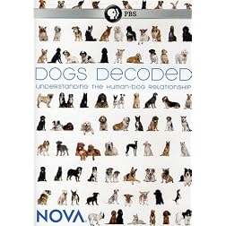 Nova: Dogs Decoded
