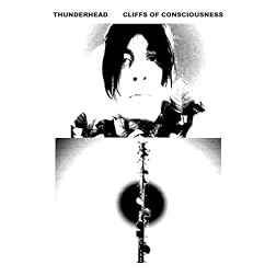 Cliffs Of Consciousness