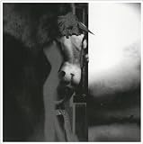 The Answer EP by Unkle