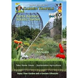 Garden Travels Santa Barbara Botanic Garden New Annuals