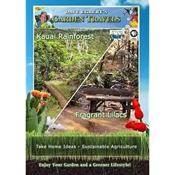 Garden Travels Kauai Rainforest Fragrant Lilacs