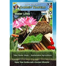 Garden Travels Water Lilies Honey