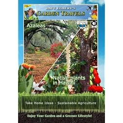 Garden Travels Azaleas Native plants in Hawaii