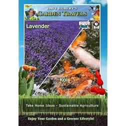 Garden Travels Lavender/Koi