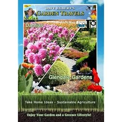 Garden Travels Dahlias Glendale Gardens