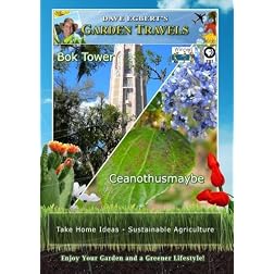 Garden Travels Bok Tower Ceanothusmaybe