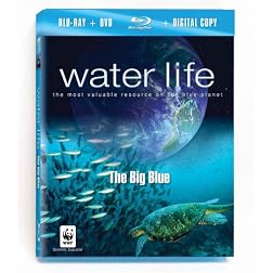 Water Life: The Big Blue [Blu-ray plus DVD and Digital Copy]