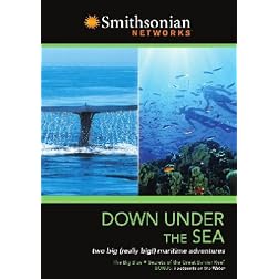 Down Under The Sea