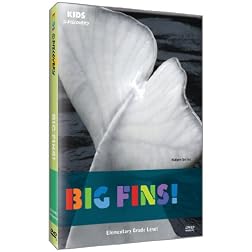 Kids @ Discovery: Big Fins!