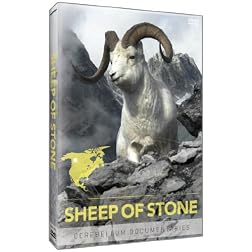 Sheep of Stone