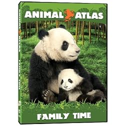 Animal Atlas: Family Time