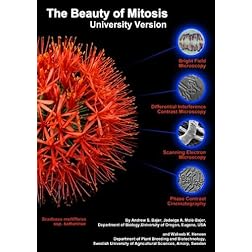 The Beauty of Mitosis: University and School Versions