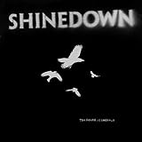 The Sound of Madness by Shinedown