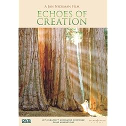 Echoes of Creation