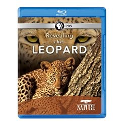 Nature: Revealing the Leopard [Blu-ray]