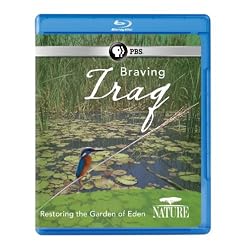 Nature: Braving Iraq [Blu-ray]