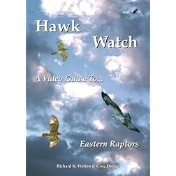 Hawk Watch: A Video Guide to Eastern Raptors