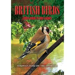 British Birds: Urban Birds in the Garden