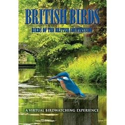 British Birds: Birds of the British Countryside