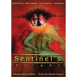 The Sentinel's Flight