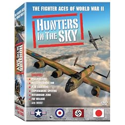 Hunters in the Sky