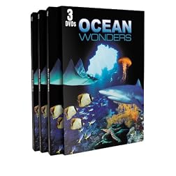 Ocean Wonders